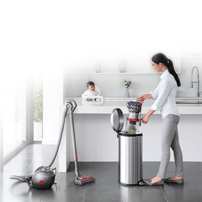 Aspirtor Dyson big ball