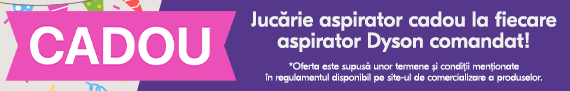 Jucarie cadou aspiratoare Dyson