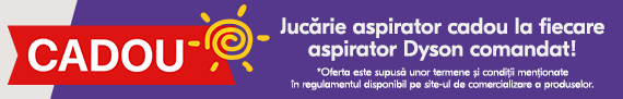 Jucarie cadou aspiratoare Dyson