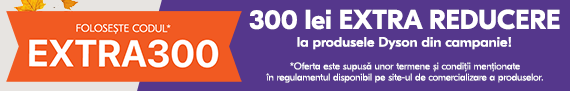 Dyson EXTRA300