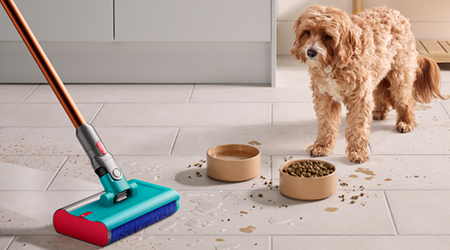 Curăță murdăria animalelor de companie